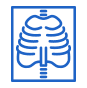 Icon of lung/chest imaging